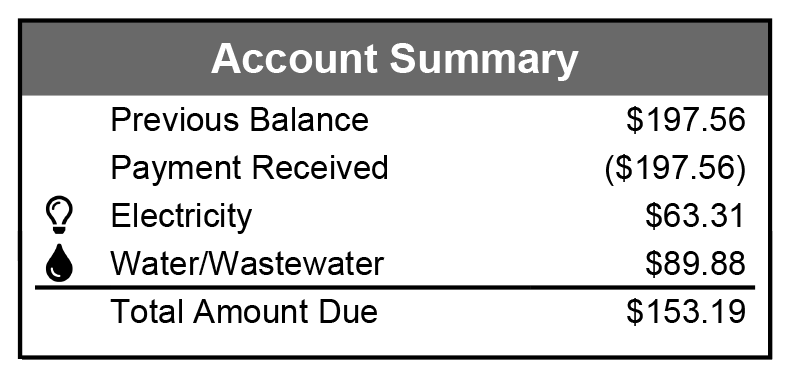 Account Summary section showing totals for Electricity, and Water / Wastewater